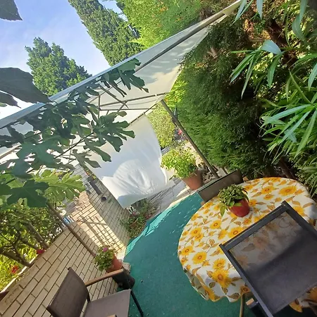 Apartma San Simon Close To *